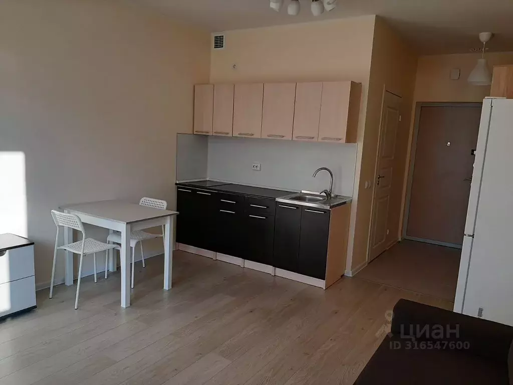Студия Санкт-Петербург наб. Реки Каменки, 7к2 (25.0 м) - Фото 0