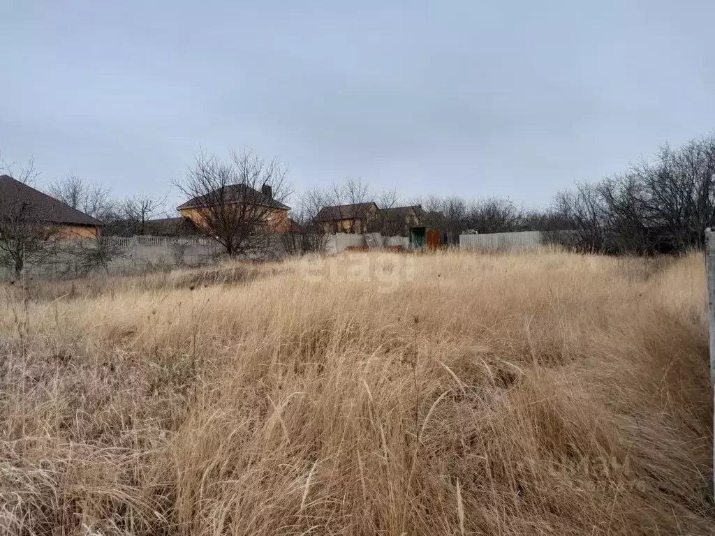 Участок в Белгородская область, Белгородский район, Тавровское с/пос, ... - Фото 1