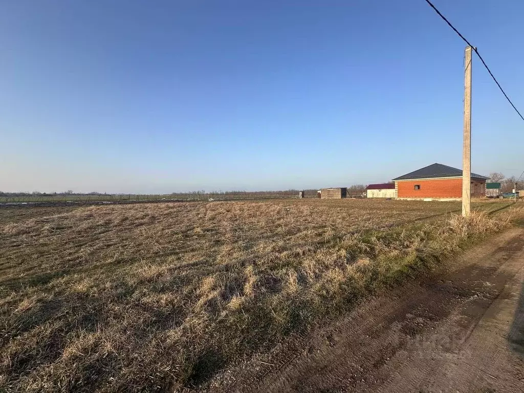 Участок в Краснодарский край, Динской район, Новотитаровское с/пос, с. ... - Фото 1