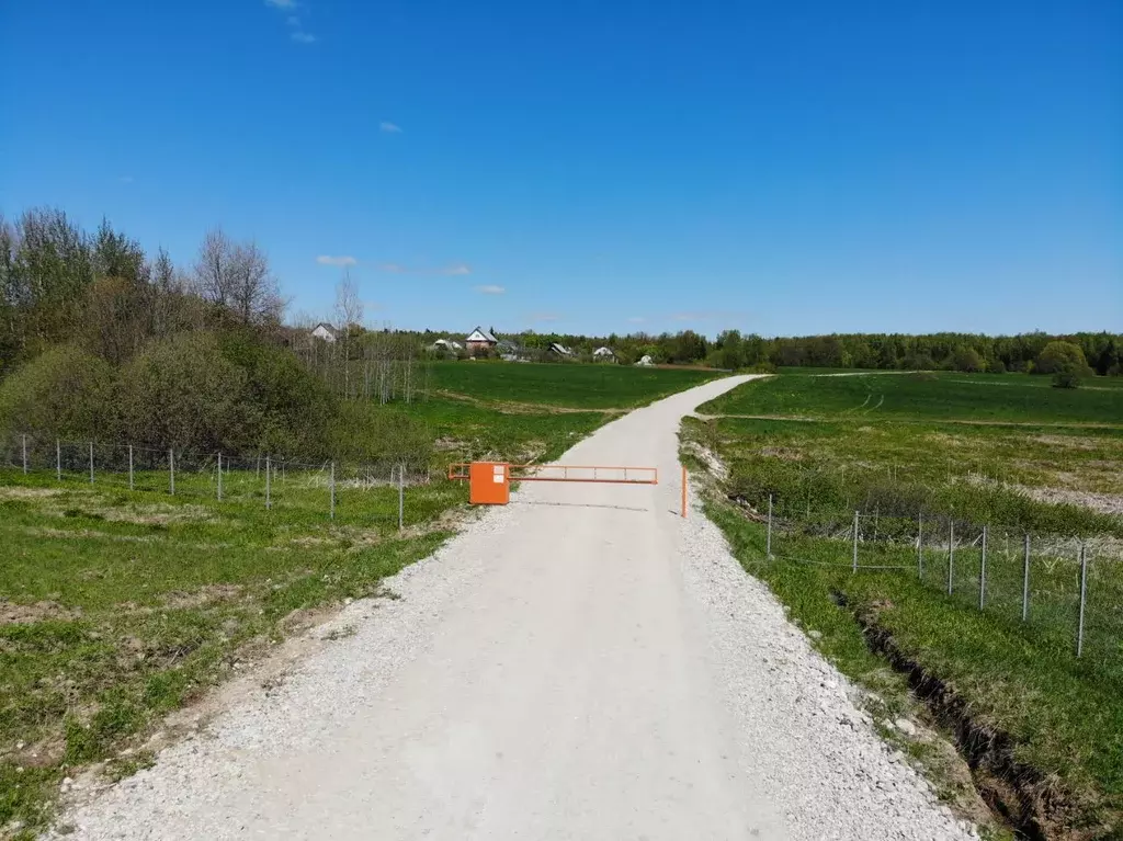 Участок в Московская область, Пушкинский городской округ, д. Бортнево  ... - Фото 2