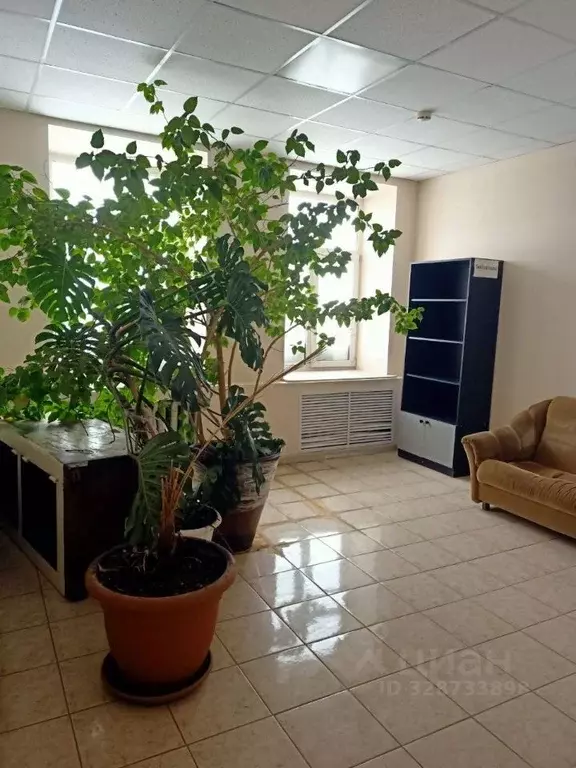 Помещение свободного назначения в Пермский край, Кунгур Красная ул., ... - Фото 2