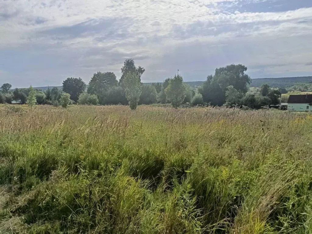 Участок в Московская область, Кашира городской округ, д. Благово  ... - Фото 1