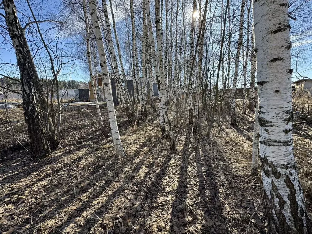 Участок в Московская область, Щелково городской округ, Волхов СНТ ул. ... - Фото 1
