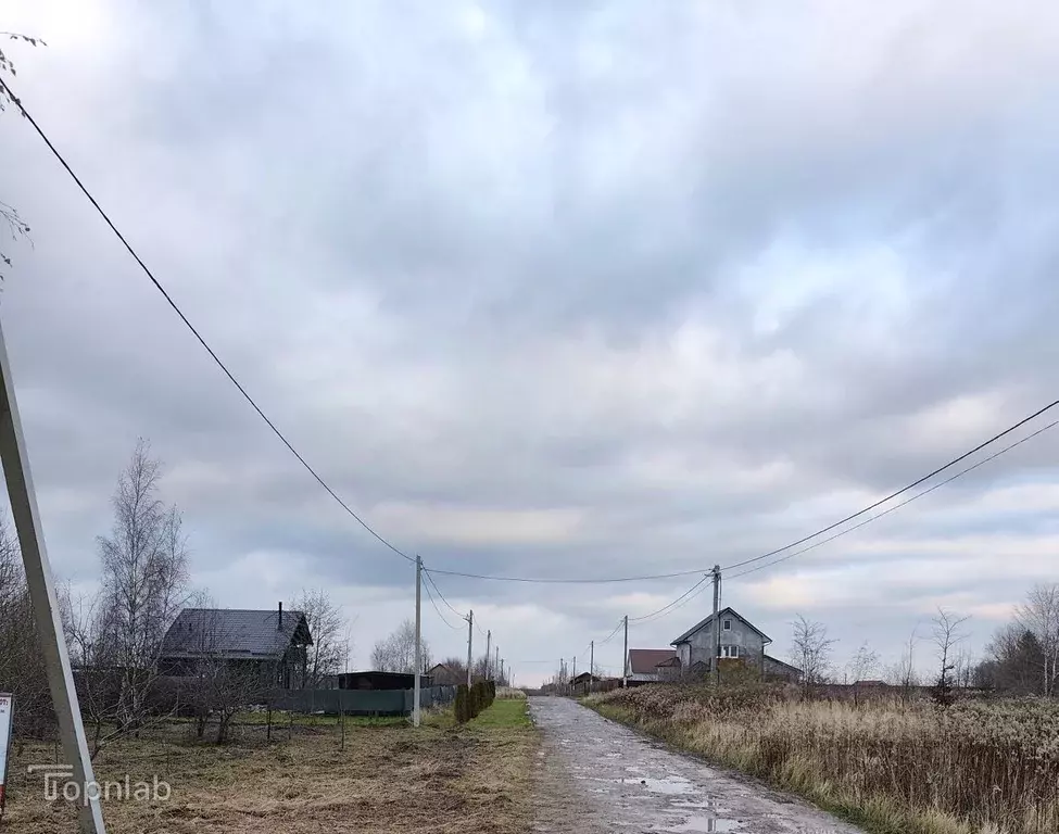 Участок в Калининградская область, Зеленоградский муниципальный округ, ... - Фото 1