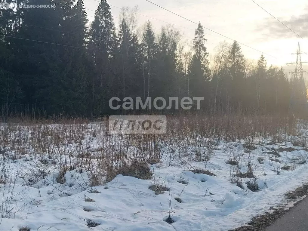 Участок в Наро-Фоминский городской округ, дачный посёлок Парус (8 м) - Фото 0