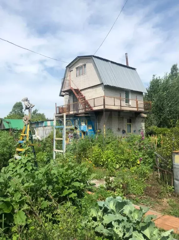 СНТ октябрь 2 Галкино. Галкино дачи. Купить дачу село Галкино СНТ звезда Хабаровск. Куплю снт октябрь