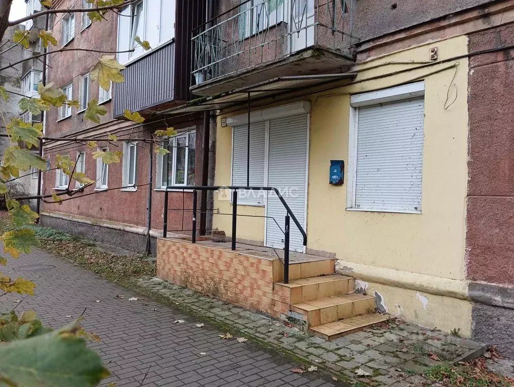 Торговая площадь в Калининградская область, Светлый ул. Тельмана, 4 ... - Фото 0