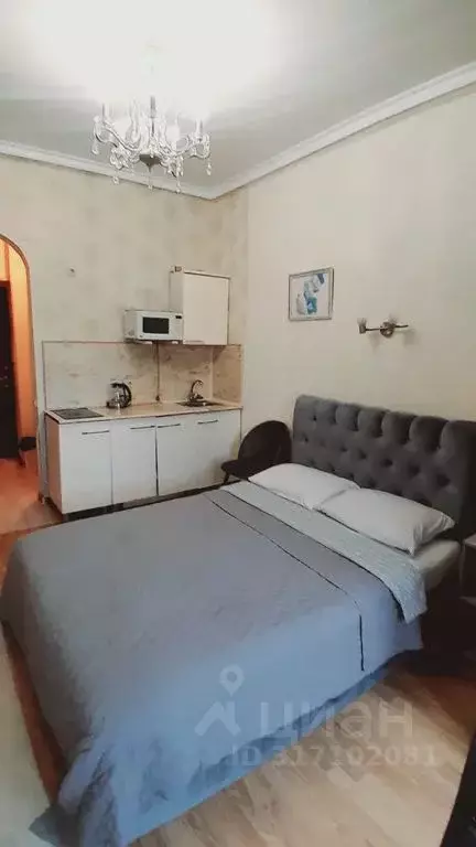 Студия Краснодарский край, Сочи Курортный просп., 75к1 (22.0 м) - Фото 1