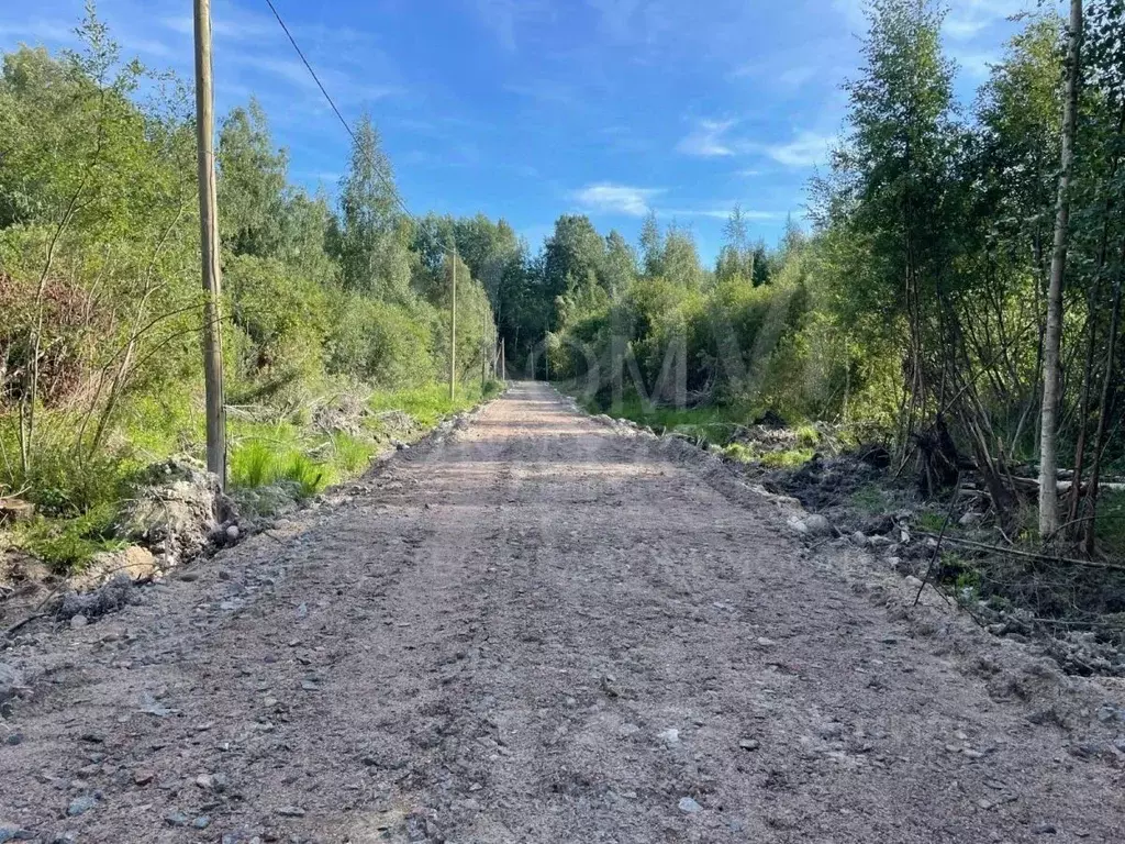 Участок в Ленинградская область, Приозерское городское поселение, пос. ... - Фото 1