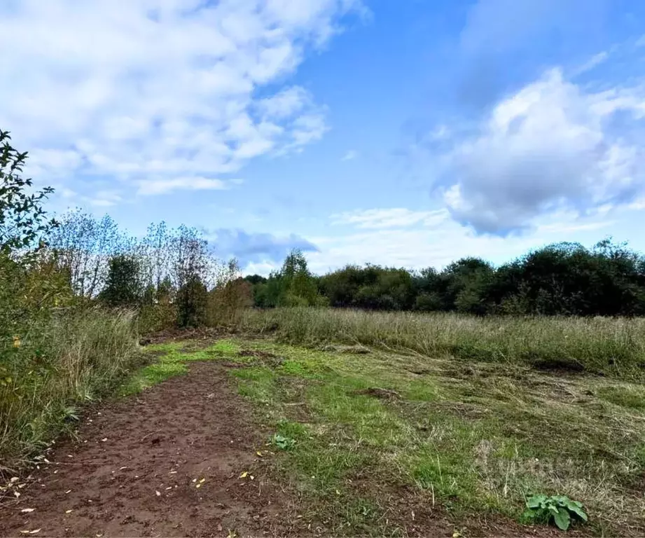 Участок в Пермский край, Краснокамский муниципальный округ, д. Мишкино ... - Фото 1