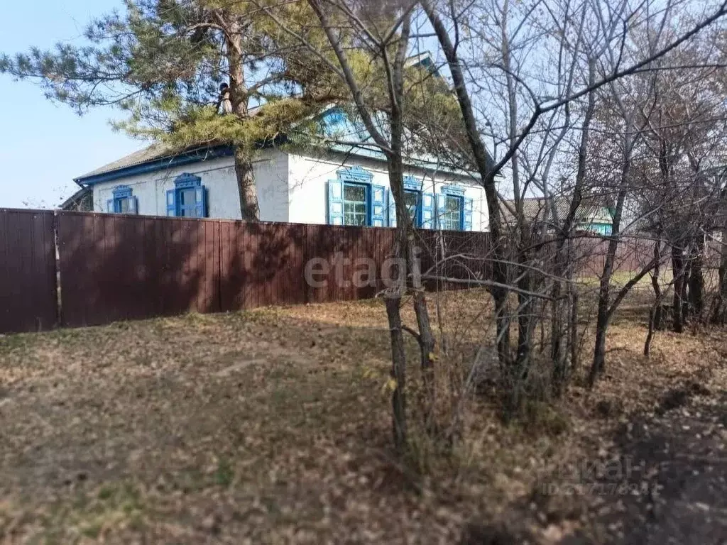 Дом в Амурская область, Серышевский муниципальный округ, с. Томское ... - Фото 1