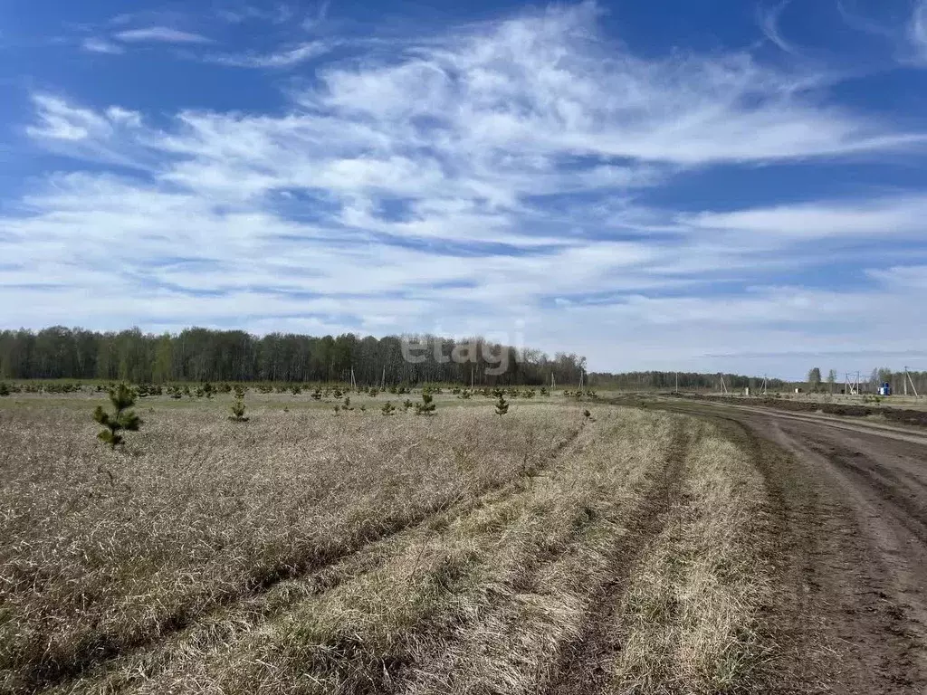 Участок в Тюменская область, Тюменский район, с. Кулига, Кулига-2 мкр  ... - Фото 0