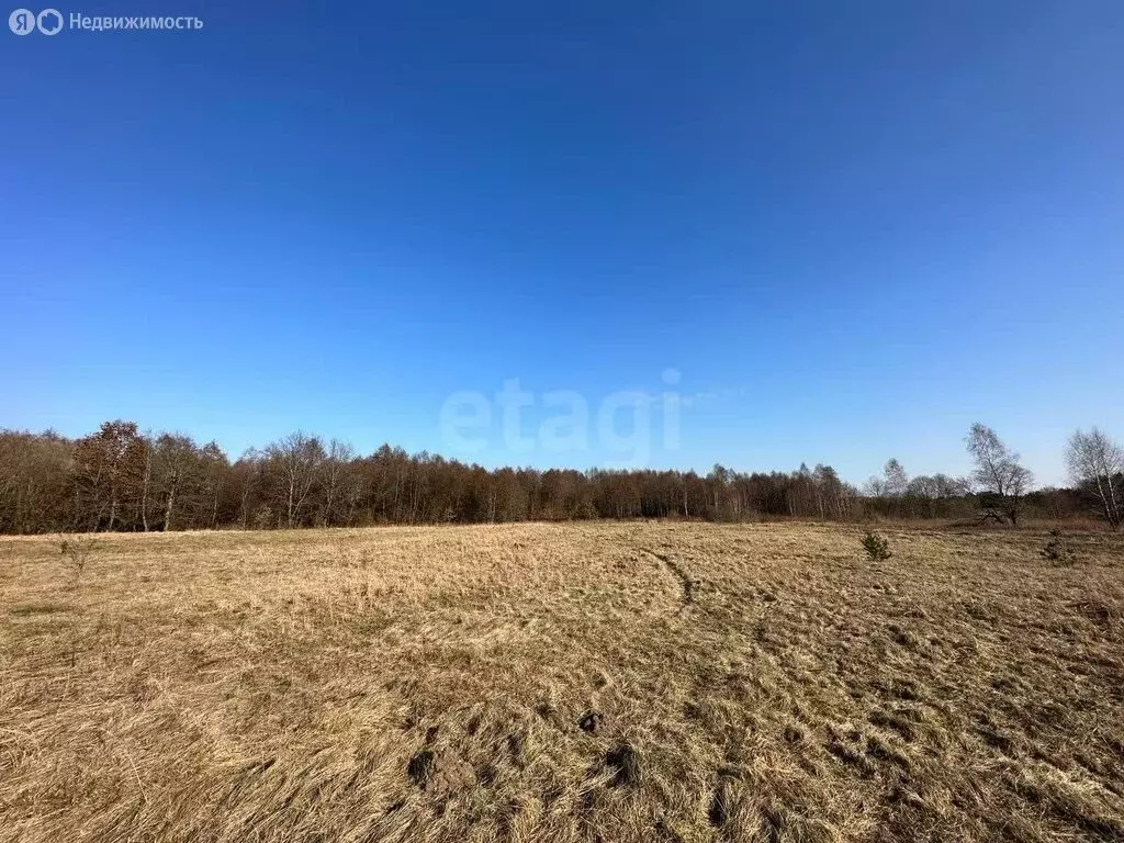 Участок в Калининградская область, Гвардейский муниципальный округ, ... - Фото 1