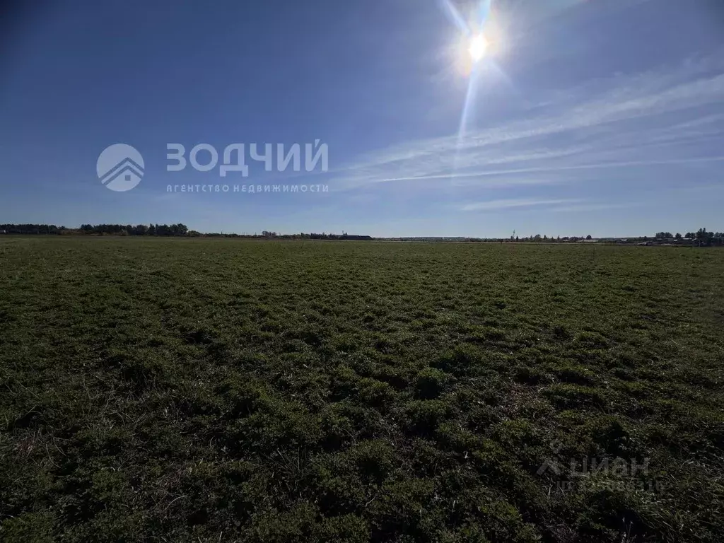 Участок в Чувашия, Чебоксарский муниципальный округ, пос. Синьялы  ... - Фото 2