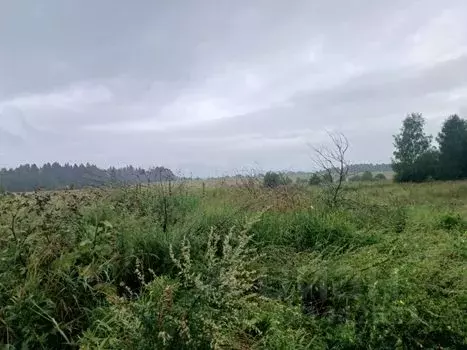 Участок в Московская область, Сергиево-Посадский городской округ, д. ... - Фото 0