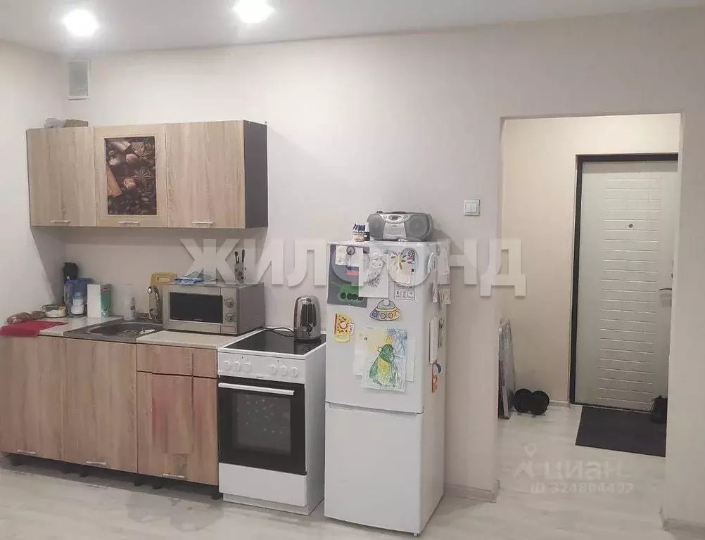 1-к кв. Новосибирская область, Новосибирск ул. Плющихинская, 3 (32.5 ... - Фото 2