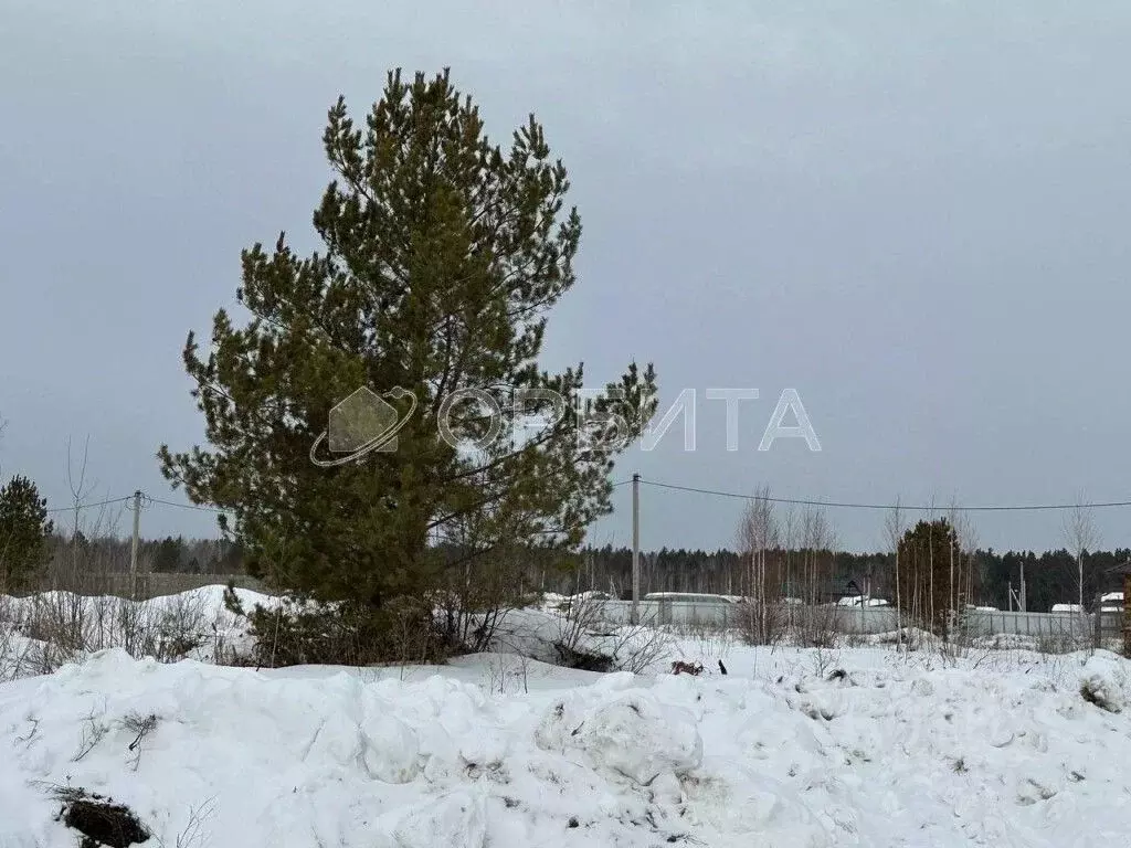 Участок в Тюменская область, Нижнетавдинский район, с. Тюнево  (10.0 ... - Фото 0