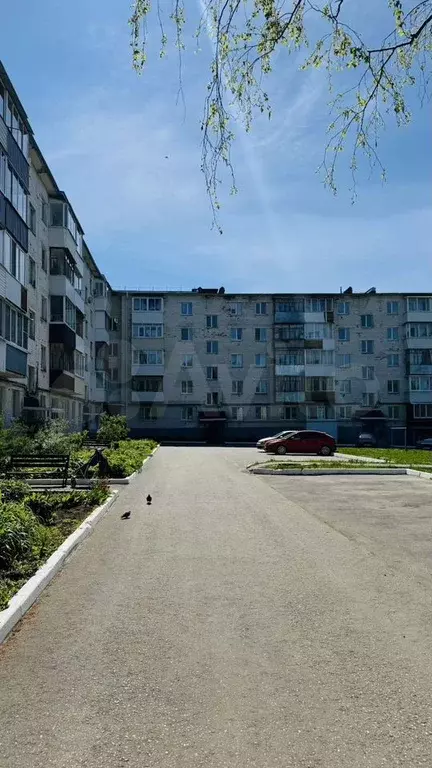 1-к. квартира, 30,1 м, 1/5 эт. - Фото 0