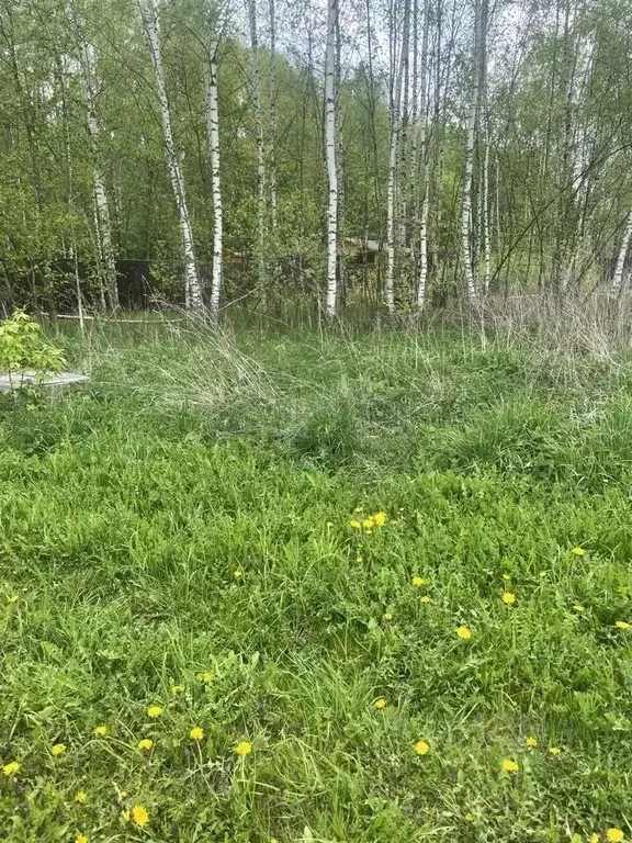 Участок в Московская область, Раменский муниципальный округ, с. ... - Фото 2