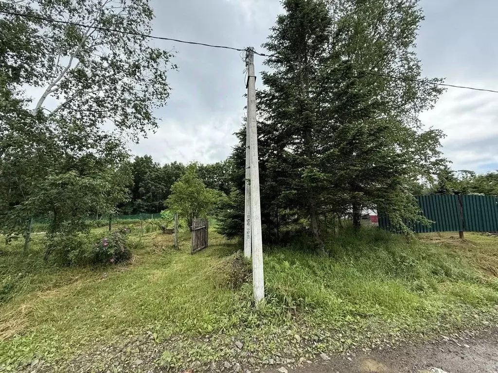 Участок в Хабаровский край, Хабаровский район, пос. 24 километр ш. ... - Фото 1