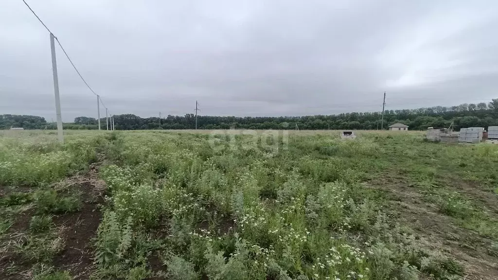 Участок в Белгородская область, Яковлевский городской округ, с. Вислое ... - Фото 1