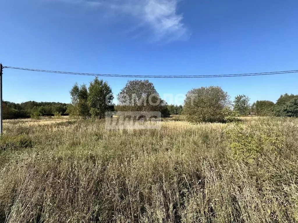 Участок в Московская область, Чехов  (10000.0 сот.) - Фото 1