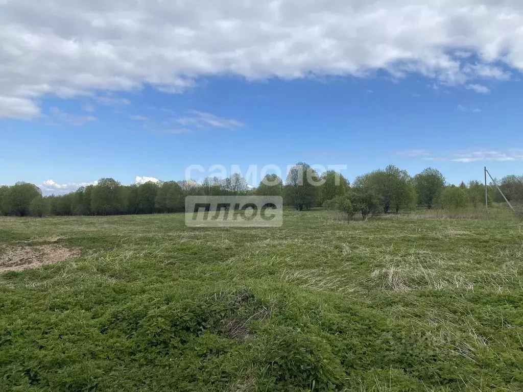 Участок в Ярославская область, Переславль-Залесский муниципальный ... - Фото 2