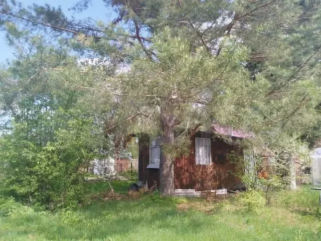 Дача 17,4 м на участке 6,1 сот. - Фото 0
