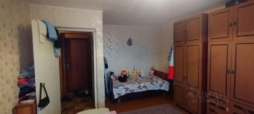 1-к кв. Пензенская область, Бессоновский район, с. Степановка ... - Фото 2