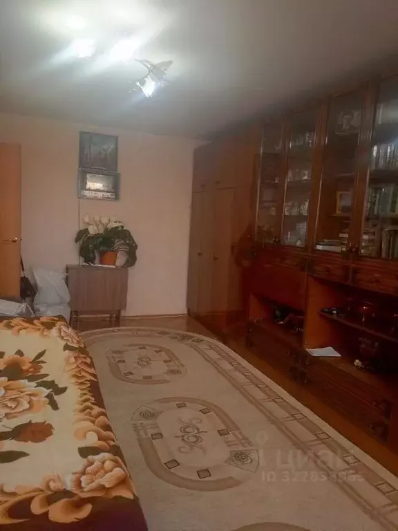 1-к кв. Нижегородская область, Кстово ул. Ступишина, 3 (31.5 м) - Фото 2