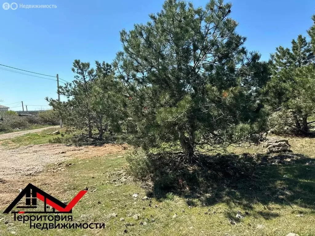 Участок в Севастополь, садоводческое товарищество Янтарь, 17 (8 м) - Фото 2