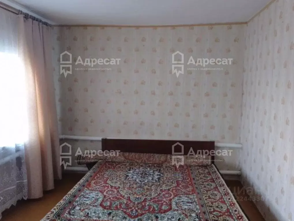 Дом в Волгоградская область, Волгоград ул. Новикова-Прибоя (62 м) - Фото 1