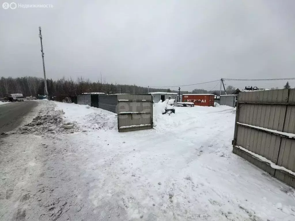 Участок в Новосибирск, СНТ Буревестник Пашинский, квартал № 1 (10.14 ... - Фото 2