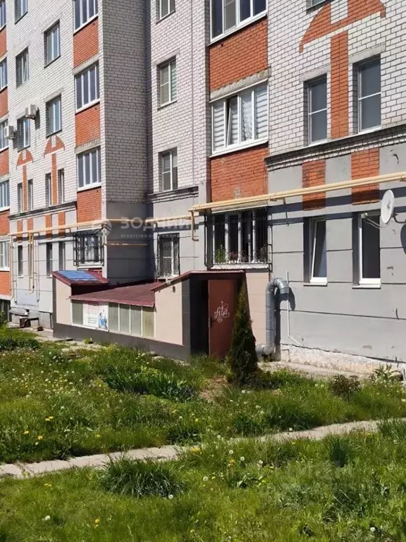 Помещение свободного назначения в Чувашия, Чебоксары ул. Федора ... - Фото 2