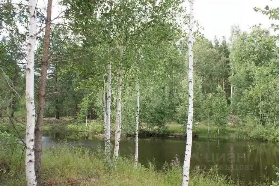 Участок в Свердловская область, Белоярский муниципальный округ, пос. ... - Фото 2