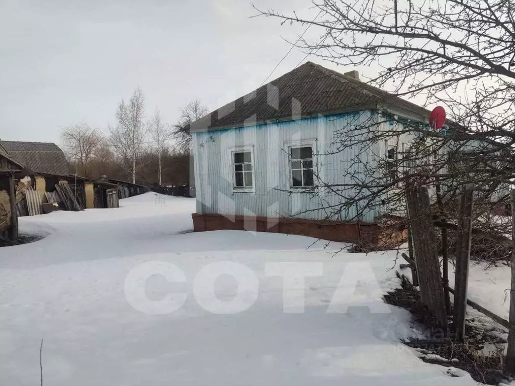 Дом в Воронежская область, Нижнедевицкий район, Норово-Ротаевское ... - Фото 1