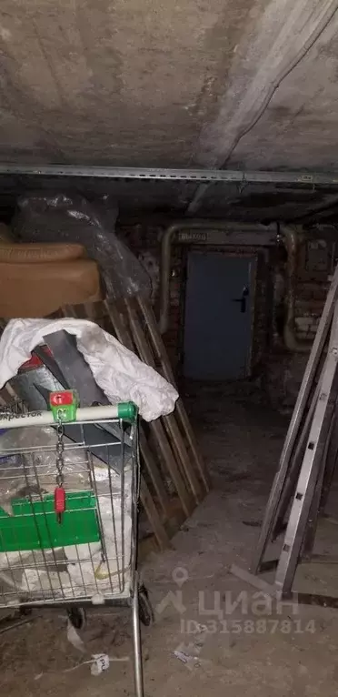 Помещение свободного назначения в Москва просп. Андропова, 38К2 (437 ... - Фото 1