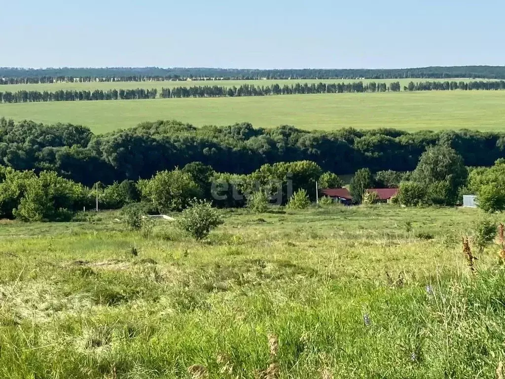 Участок в Липецкая область, Елецкий район, с. Голиково  (105.7 сот.) - Фото 0