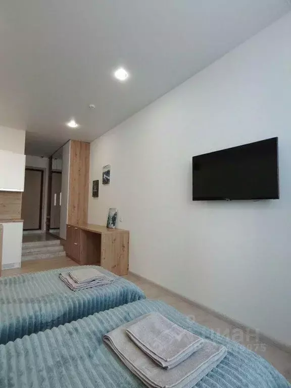 1-к кв. Татарстан, Казань ул. Толстого, 41 (24.0 м) - Фото 2