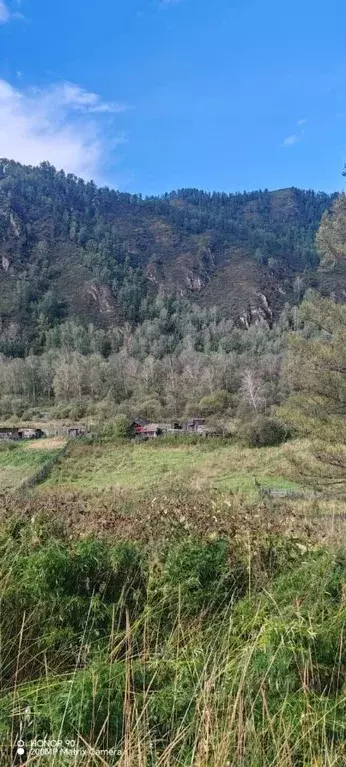 Участок в Алтай, Шебалинский район, с. Мыюта Российская ул. (22.0 ... - Фото 1