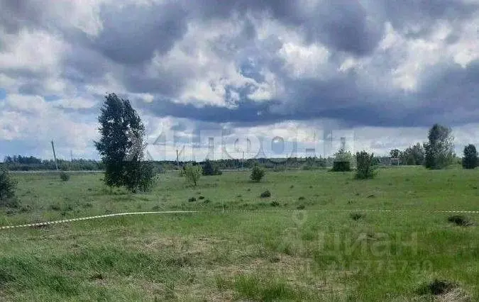 Участок в Новосибирская область, Новосибирский район, Криводановский ... - Фото 1