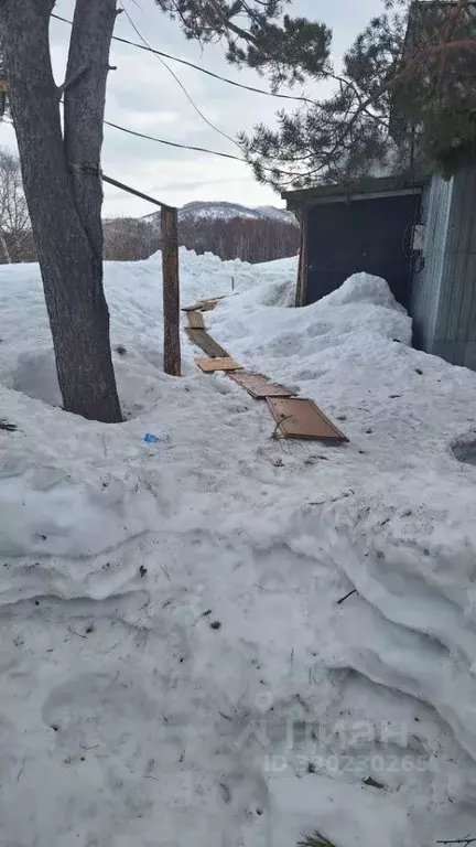 Свободной планировки кв. Камчатский край, Елизовский муниципальный ... - Фото 2