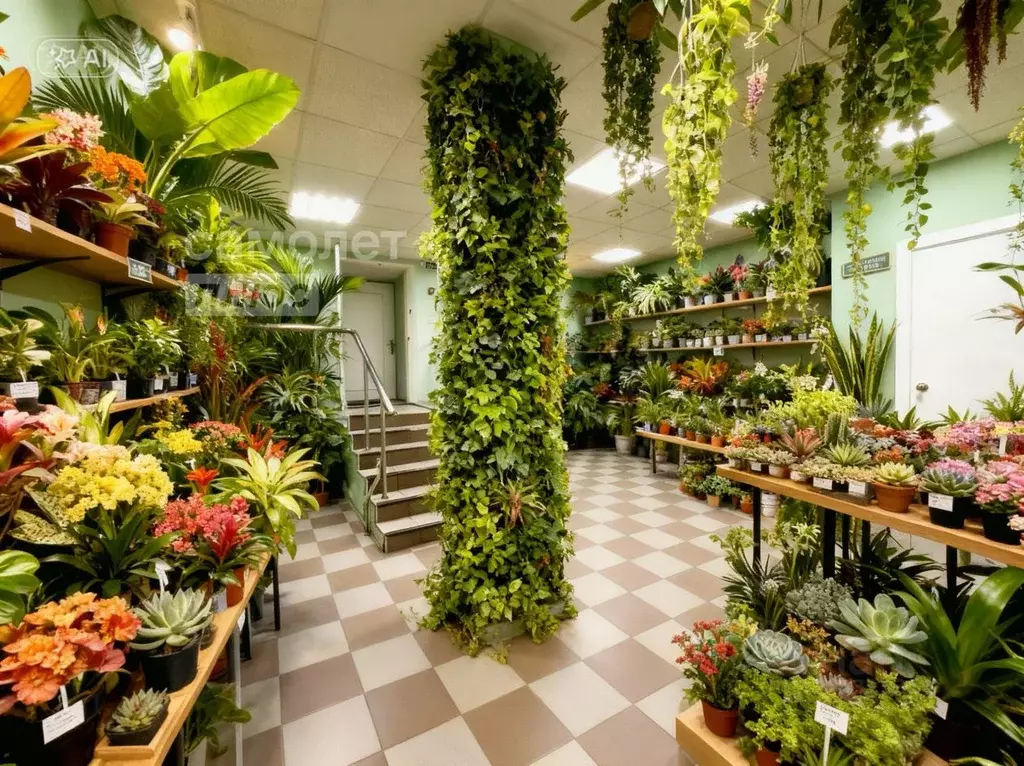 Торговая площадь в Московская область, Черноголовка Центральная ул., ... - Фото 1