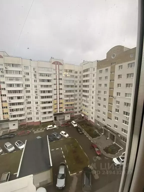 1-к кв. Ульяновская область, Ульяновск Водопроводная ул., 4 (50.0 м) - Фото 2