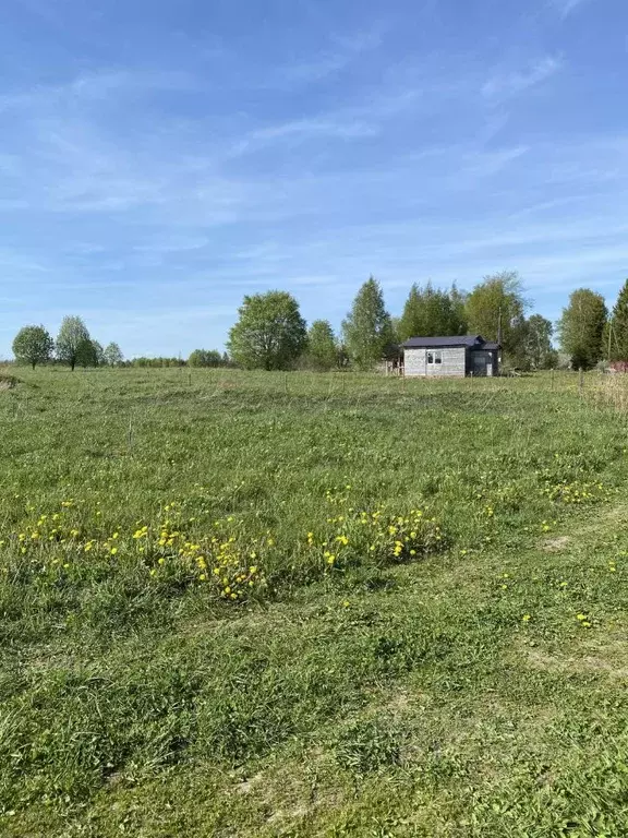 Участок в Вологодская область, Шекснинский район, Никольское с/пос, д. ... - Фото 2