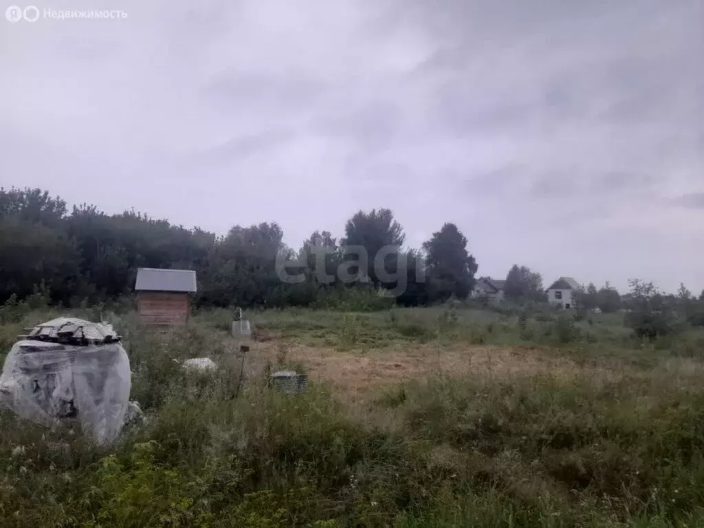 Участок в Алтайский край, городской округ Барнаул, посёлок Бельмесево ... - Фото 2