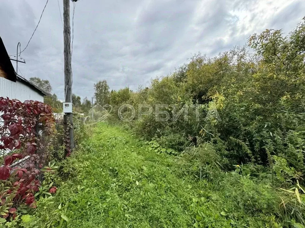 Участок в Тюменская область, Нижнетавдинский район, Мечта ДНТ ул. 6-я ... - Фото 0