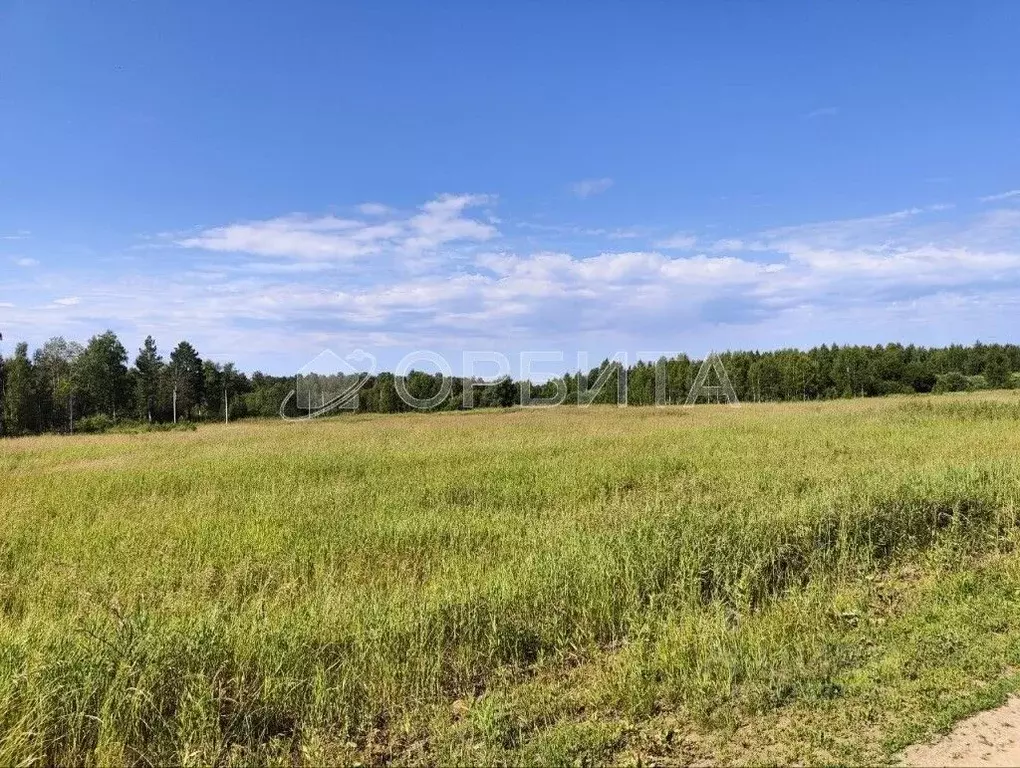 Участок в Тюменская область, Тюменский муниципальный округ, д. ... - Фото 1