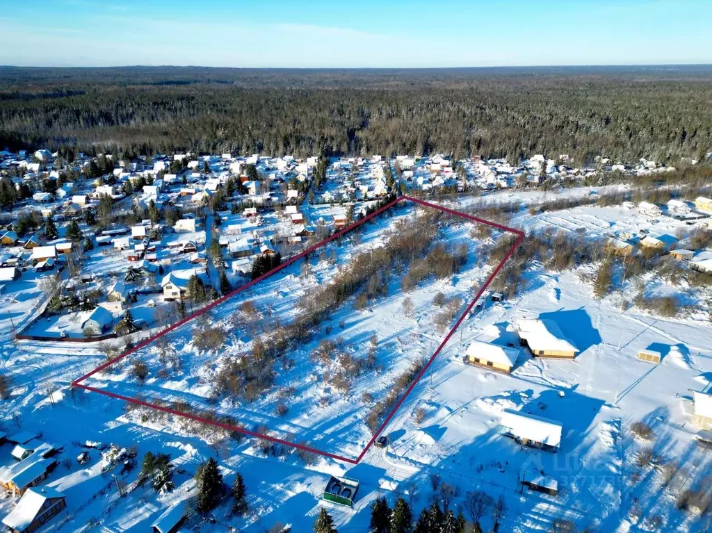 Участок в Ленинградская область, Всеволожский район, Лесколовское ... - Фото 1