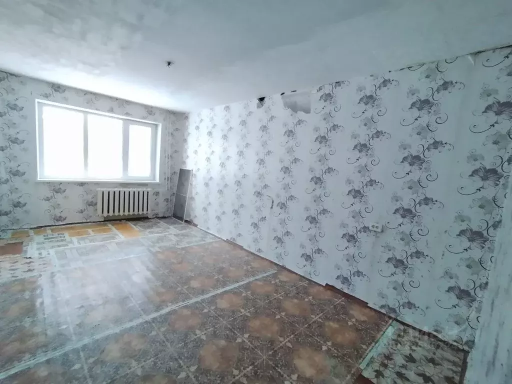 2-к кв. Ленинградская область, Волосовский район, Рабитицкое с/пос, д. ... - Фото 1